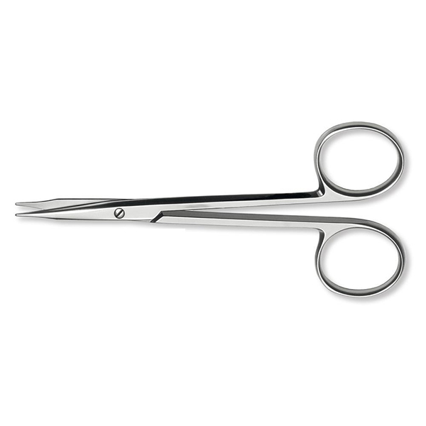 buy online 	Scissors Dissecting Straight - Narang 6'  Qatar Doha