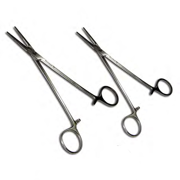 buy online 	Forceps Adson Straight - Is Intl 16.5 Cm  Qatar Doha
