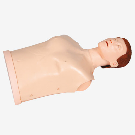 Manikin Model Upper Body Adult BIZE # CPR-10170 product available at family pharmacy online buy now at qatar doha