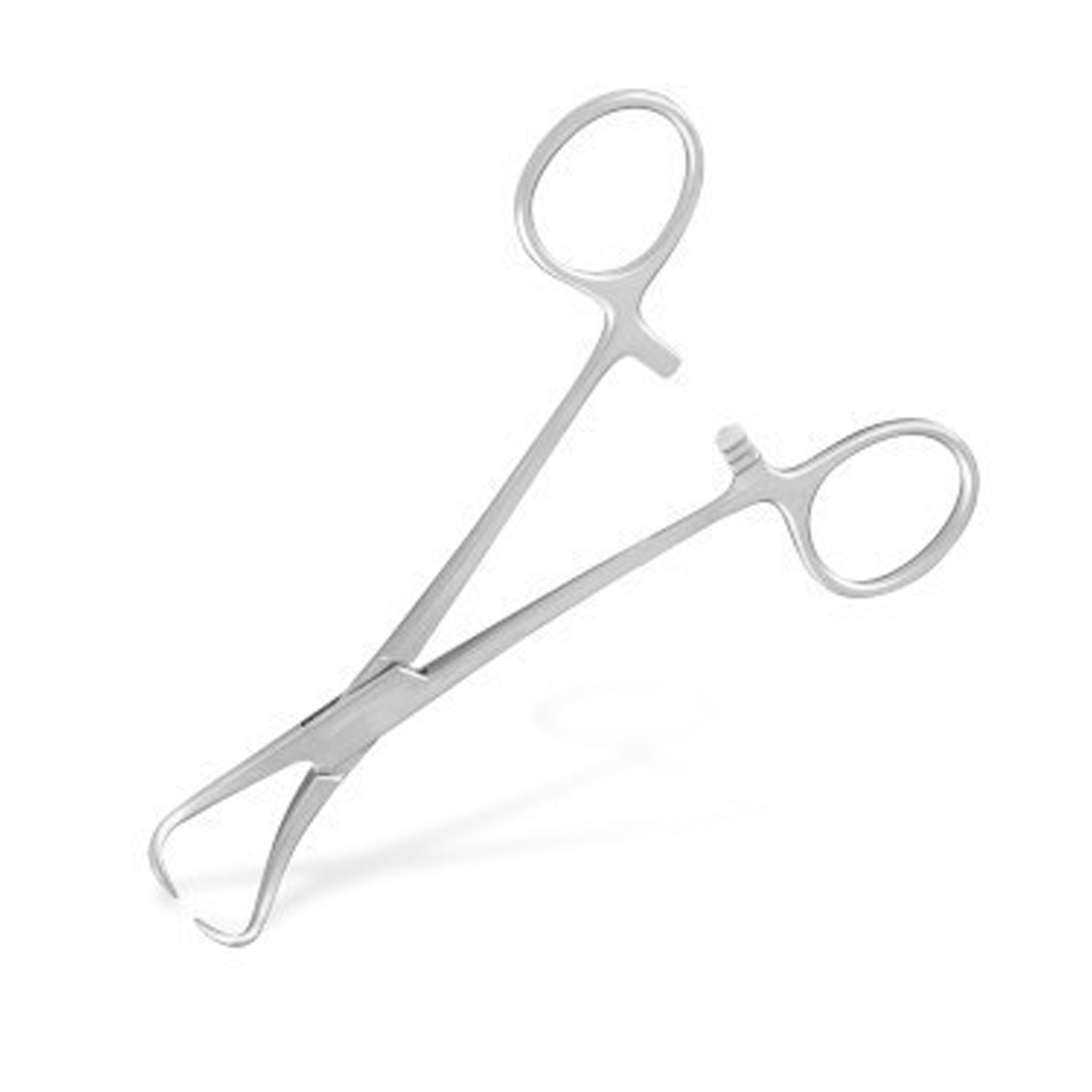 buy online 	Forceps Towel - Is Intl 25 Cm - Braun  Qatar Doha