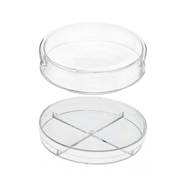 buy online 	Petridish - Nuova 120 Mm  Qatar Doha