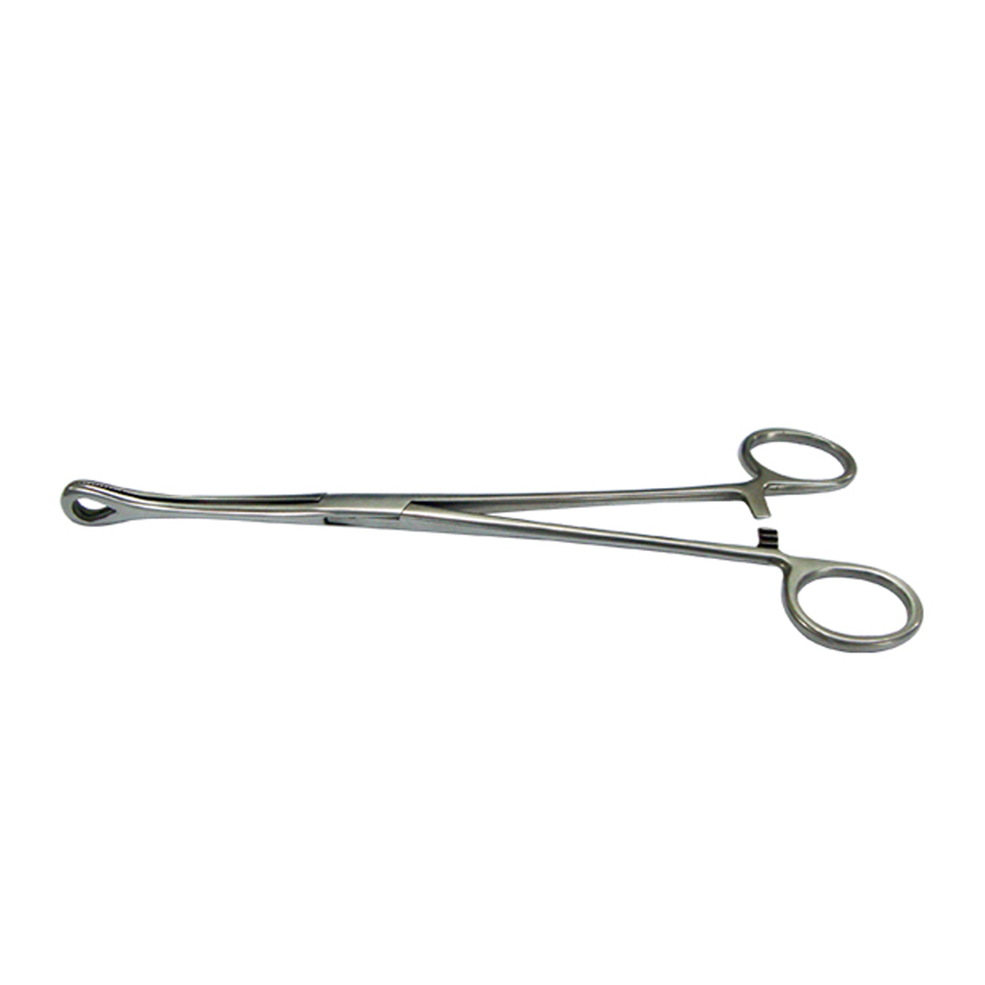 buy online 	Forceps Sponge Holding Straight - Era 25 Cm  Qatar Doha