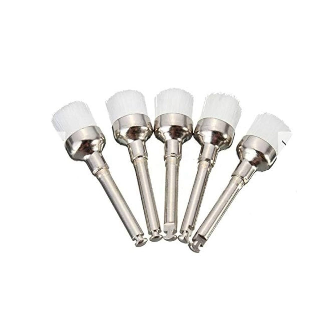 Dental Polishing Brush product available at family pharmacy online buy now at qatar doha