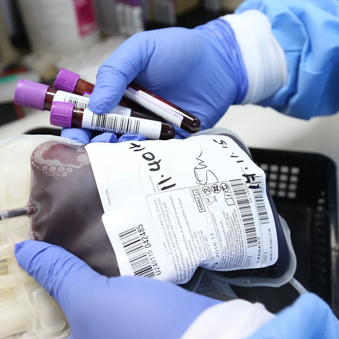 Blood Collection & Transfusion available in online  pharmacy qatar, doha 