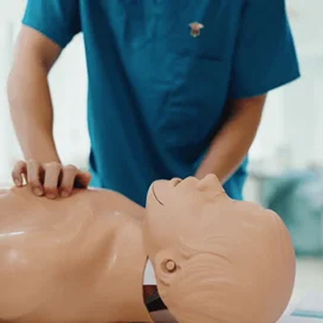 Training & Demonstration Models available in online  pharmacy qatar, doha 